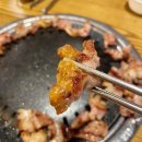 꽃돼지생막창 | [청주 운리단길 맛집] "뿅카는생막창 본점" (꽃돼지살·막창·라면 서비스 후기)