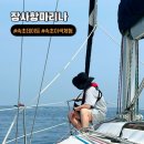 속초 요트 투어 아이와 함께 속초여행 이색 체험 장사항 마리나