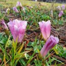 추암일출펜션 이미지