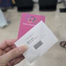 잠실 놀거리 ] 와이낫다이브 - 서울프리다이빙 자격증 취득과정 비용 후기 여름휴가 준비