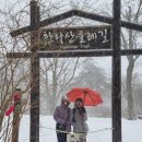 한라산둘레길 사려니숲길 이미지