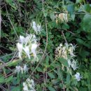 인동농장 이미지