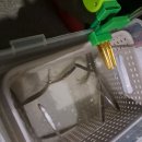 황청낚시터 | 수도권 실내 방갈로 빙어낚시터, 강화도 빙어낚시 황청낚시터 (후기, 가격, 사진, 조과, 위치 등)