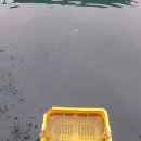 아쿠아 좌대낚시터 이미지