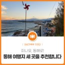 동해 여행 TOP3! - ‘무릉계곡’, 53년 만에 개방된 덕봉산 ‘해안탐방로’, 묵호항 ‘논골담길’