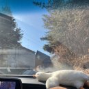 오천로 | 이천 마장 대형 베이커리/브런치 카페 ‘어바웃네이처’ 재방문 후기 - 크리스마스 컨셉/아이 동반 가능