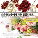 제이제이쥬얼리 이미지