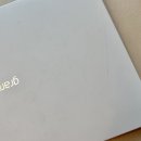 귀여운 아이패드노트북파우치 추천, 무직타이거 슬리피 타이거