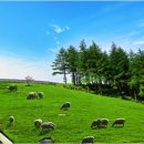 만나목장 이미지