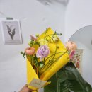 채송;화 이미지