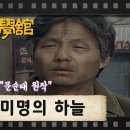 178. 미명의 하늘/문순태 이미지