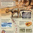 [재미있는 과학] 경기도 화성 '뿔공룡' 화석, 피부색까지 살려냈어요 이미지