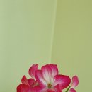 초인모텔 이미지