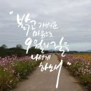 9월의 기도, 詩모음 (이해인, 윤영초, 김소미, 문희숙, 박화목) 이미지