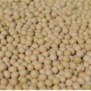 진보객주두부영농조합법인 이미지