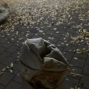 왕주먹PC방 이미지