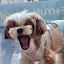 대현동물병원 이미지