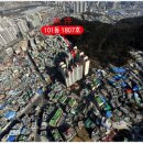 1004청과 이미지