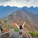 덕산면042 네이버블로그