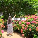 장고개공원내야외화장실 | 경기도 평택 가볼만한곳 평택역 근처 여행 내리문화공원 수국 명소