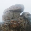 보길면-2 이미지