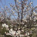 이포쌀밥정식 이미지