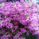 한국폴리텍 III 대학 원주캠퍼스 이미지