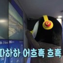 풀282 이미지