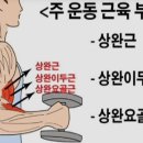 피티스미스 이미지