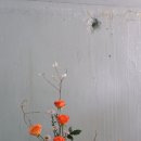 동양장식 - 중구 병영로 8 | 동양장식