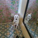 송이네농장 이미지