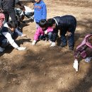 녹전초등학교 이미지