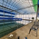 선어대낚시터 이미지