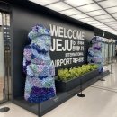 해월 민박 이미지