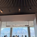 골드게임장 | 강원도 고성 소노펠리체 델피노 골드 파노라마뷰 침대 취사 객실 대가족 여행 아기랑 내돈내산 이용 후기