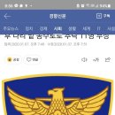 노일호 특수목적견 이미지