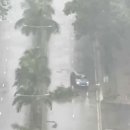 태풍 ‘타파’에 6만명 대피·100편 취소…우리나라 피해는?﻿ 이미지