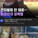 쿵야로 걸어가