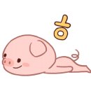 경주치즈학교
