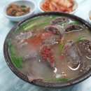 광명홍어