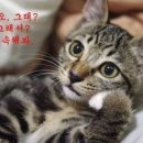 가자2 이미지