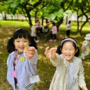 즐거운영재어린이집 이미지