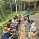 쇠재공원 이미지