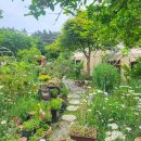 샛별글램핑 이미지