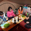 전원오토캠핑장 이미지