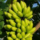 모아노래방 이미지