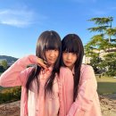 머리하는 날 이미지