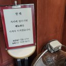 부산 서면애견동반카페 커피스가모 인 서면 브런치 후기