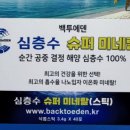 백투에덴몰