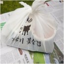 꽃보다삼겹 이미지